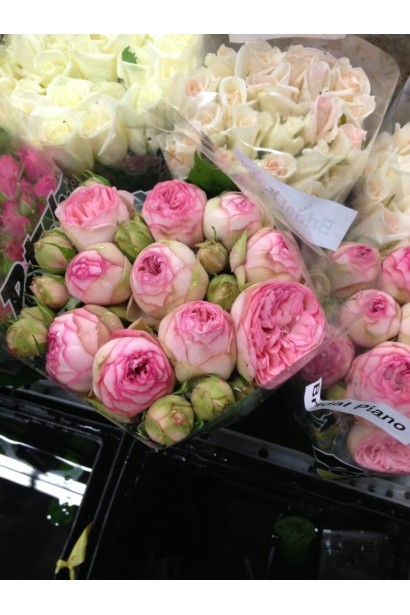 English rose Bridal Piano